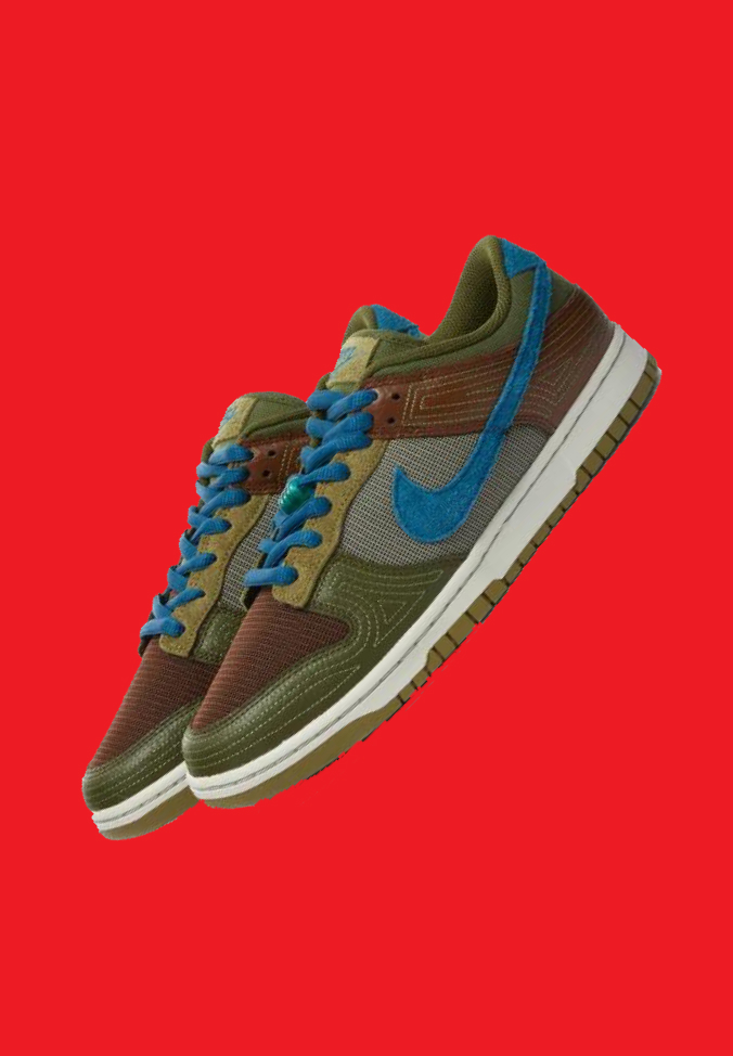 Pic of Shoe